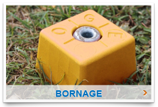 bornage